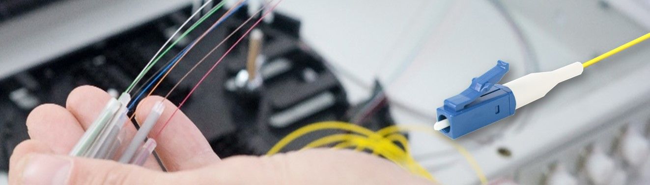 Ular uni porno videolar bilan haqorat qilishdi.